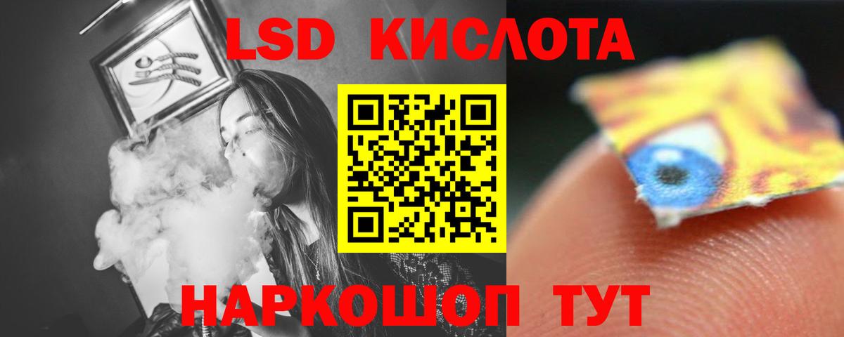 Псилоцибиновые грибы Орёл