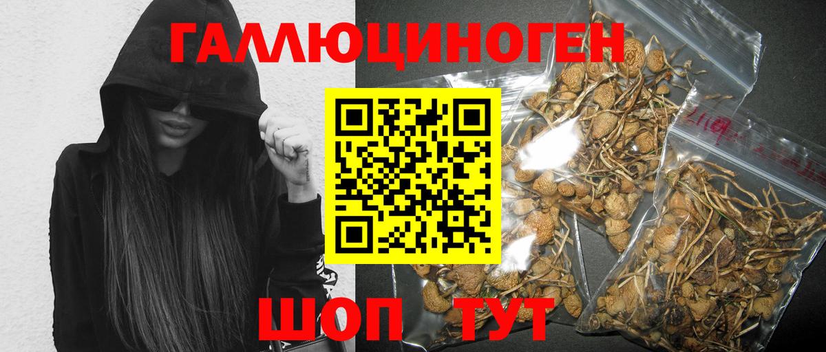 Псилоцибиновые грибы мицелий  Вход с VPN  Орёл 